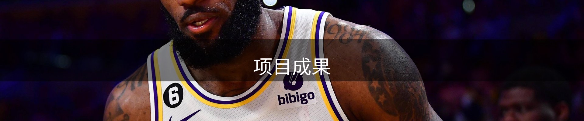 项目成果